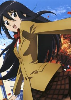 Hoạch Định Ousai phần 1 – Seitokai Yakuindomo season 1