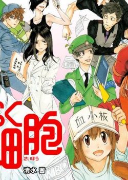 Khi Các Tế Bào Làm Việc – Hataraku Saibou