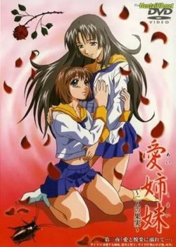 Ai Shimai Futari no Kajitsu (Immoral Sisters)