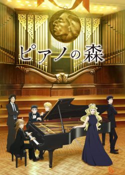 Piano no Mori ss2 – Tiếng Đàn Của Rừng Sâu phần 2